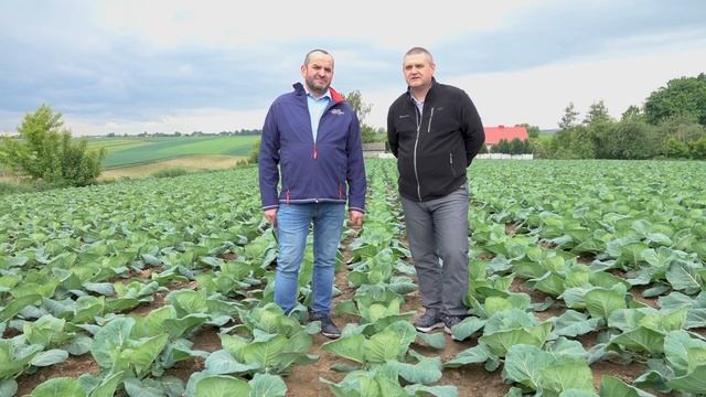 Teppeki смотреть онлайн