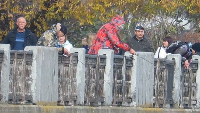 Трейлер Чемпионат Воронежской области ловле по спиннингом с берега 2017 смотреть онлайн