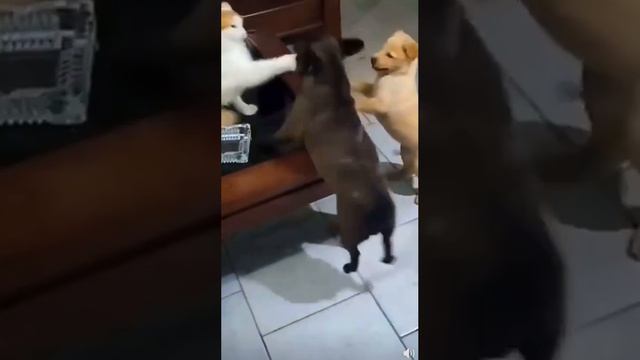 Воспитал обоих смотреть онлайн