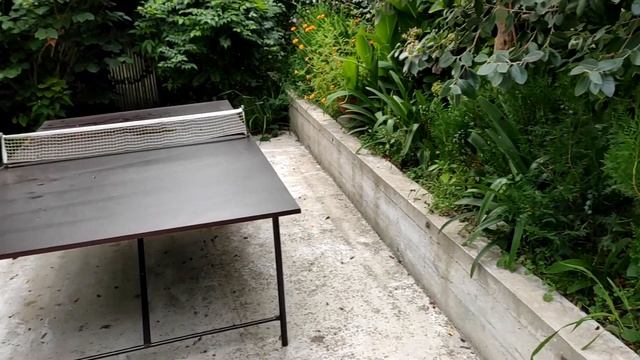 Гостевой дом "Морской бриз" в Лоо, Сочи. Честный обзор. Guest House Sea Breeze смотреть онлайн