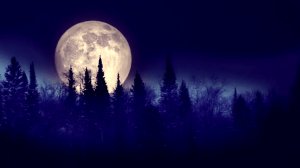 "То, чего не может быть". Мистика в реальной жизни.