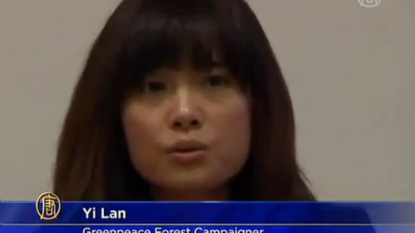 Endangered Hainan Gibbons Suffer From Loss of Habitat