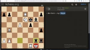 Шахматы. Грубейшая ошибка  М.Чигорина в 23-й партии матча со Стейницем, и Шатрандж - кавер - версия