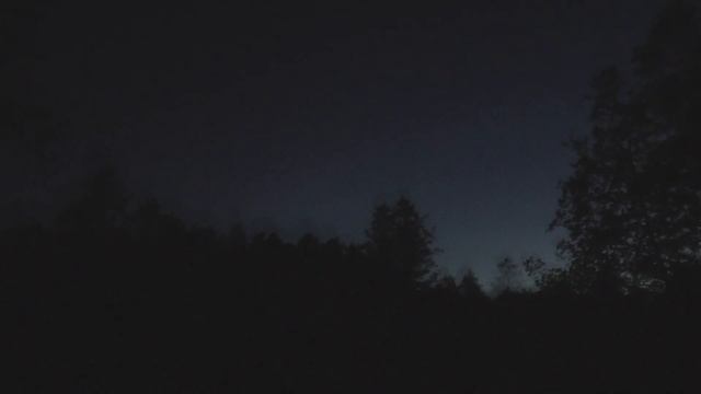 Вечер и раннее утро на природе. Июнь. Пение птиц, ночной заморозок. смотреть онлайн