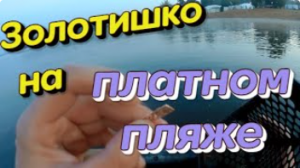 КОП на ПЛАТНОМ ПЛЯЖЕ. Поиск с металлоискателем XP ORX.