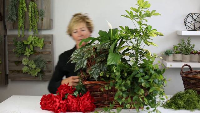 How To: Design "Living Baskets" | Pioneer Imports & Wholesale смотреть онлайн