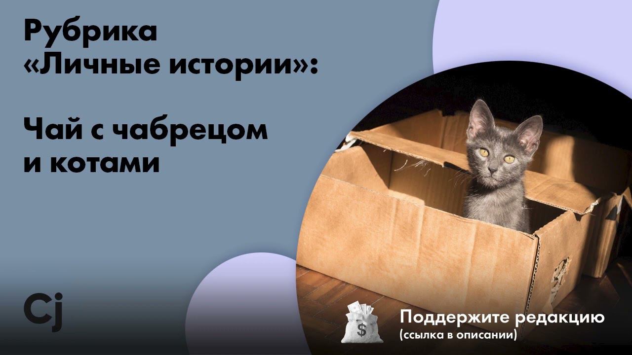 Рубрика «Личные истории»: Чай с чабрецом и котами смотреть онлайн