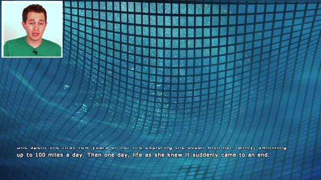 Let's Play Kitten Squad! смотреть онлайн