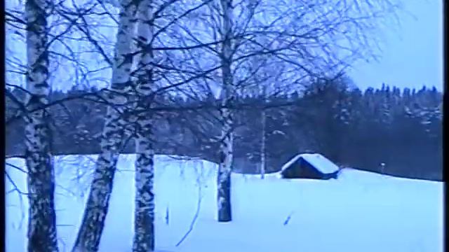 2. Зима в Обухово.mpg смотреть онлайн