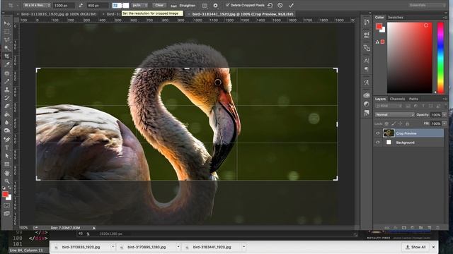 Bootstrap 4.0 Tutorial: Adding a Jumbotron & Carousel Slideshow смотреть онлайн
