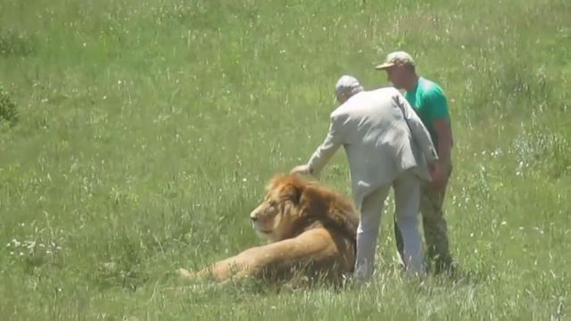 Олег Зубков: откуда понимание животных смотреть онлайн