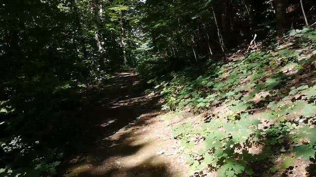 ПОЕЗДКА ПО МОНТАБАУРУ. ПРОГУЛКА ДО ЗАМКА И АВТООБЗОР АВТОСАЛОНА КИА(2) смотреть онлайн