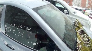 2020 1223 ЛАДА ГРАНТА  СИДЕНИЯ С РЕГУЛИРОВКОЙ ПО ВЫСОТЕ