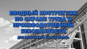 Отрывок (5 из 12 минут) из «Вводного инструктажа по охране труда компании «Полиом» (2020-е)