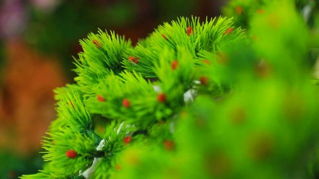 Yarim asirlik bonsay смотреть онлайн