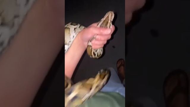 ну на хер! смотреть онлайн