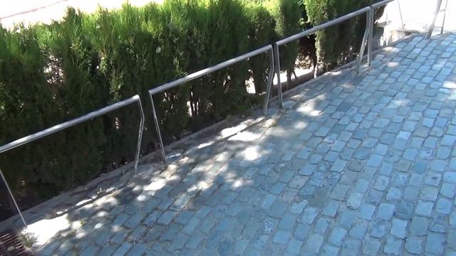 Max играет в прятки . Сможет ли он спрятаться , так что - бы его не нашли .peekaboo смотреть онлайн