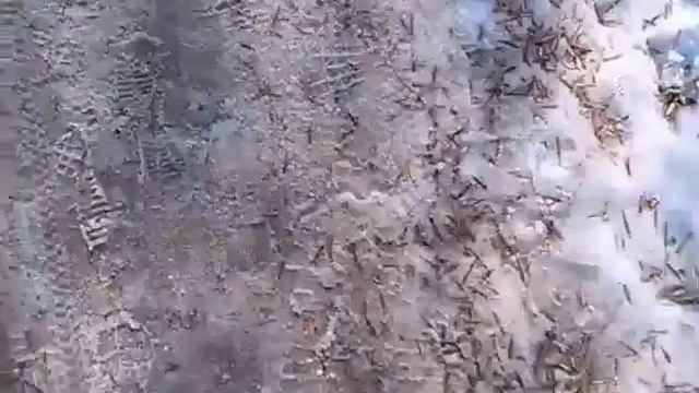 Прогулка по Кировскому району города Уфы:) смотреть онлайн