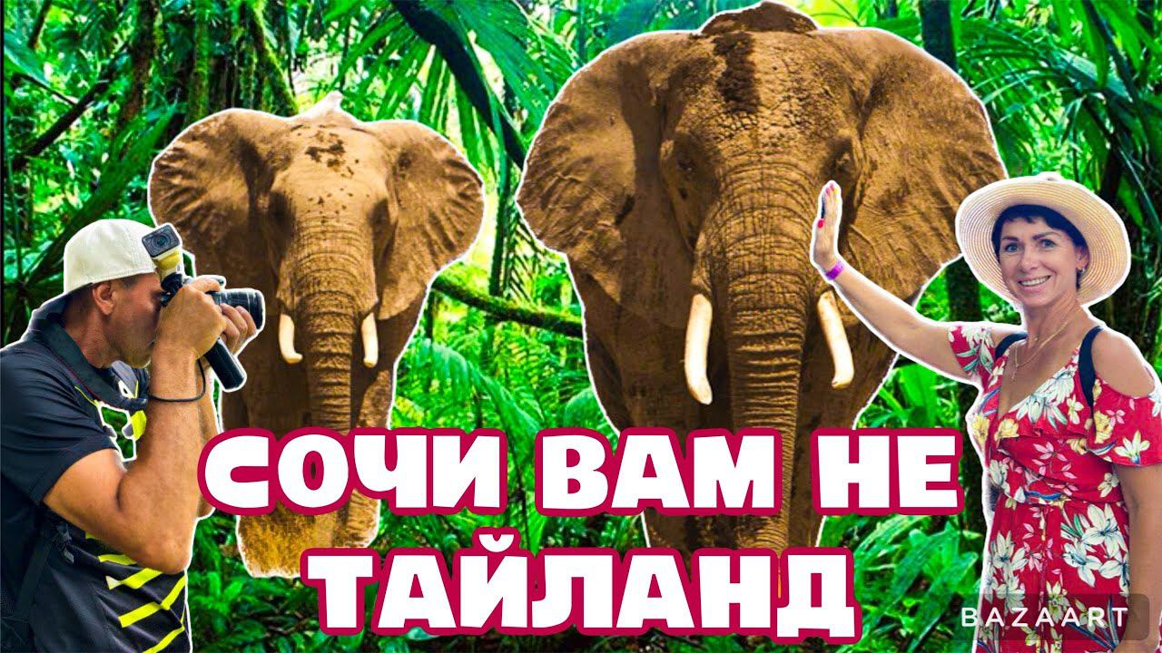 СЛОНЫ В СОЧИ? ИЛИ ТАЙЛАНД? УВЛЕКАТЕЛЬНОЕ ПУТЕШЕСТВИЕ! смотреть онлайн