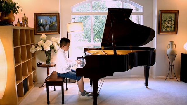 Hans Han - Variatio24 BWV988/Bach Goldberg Variations 24/巴赫哥德堡变奏曲24 смотреть онлайн