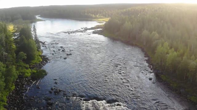 С новым 2021 годом, бродяги! смотреть онлайн