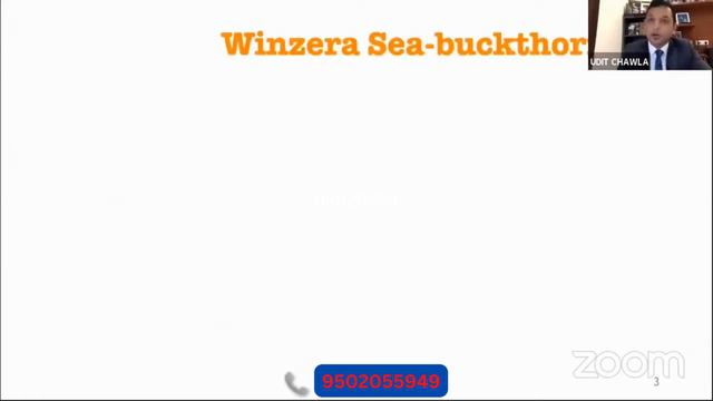 Differnece between Sea Buckthorn Pulp and Juice | Ayuzera | Explained by Co founder Udit Chawla смотреть онлайн