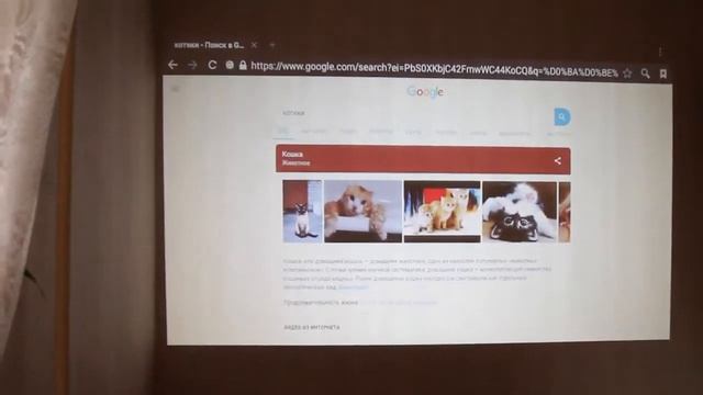 Проектор Maier дома при свете дня смотреть онлайн