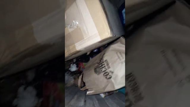 Как я зарабатываю лазая по мусоркам Poland? Dumpster Diving #6Xyber TV помойка смотреть онлайн