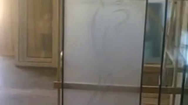 Стеклопакет на дверь пескоструй