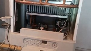 котлы Термона