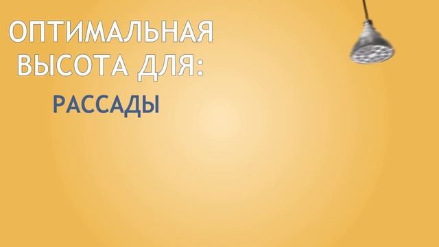 Как выбрать высоту подвеса для фитолампы ? Какие линзы и в каких случаях нужно использовать ? смотреть онлайн