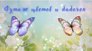 Футаж цветов и бабочек. Красивая романтическая музыка для души.