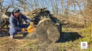 Бензопила Тайга 214 & Мега стовбур.