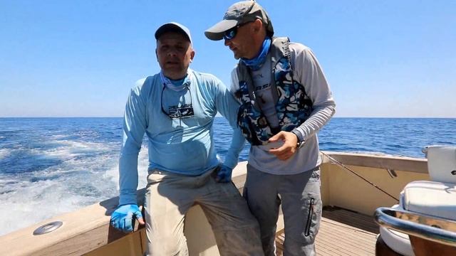 Неординарная рыбалка на марлина и парусника: как мы ловили хищников нахлыстом в Коста-Рике смотреть онлайн