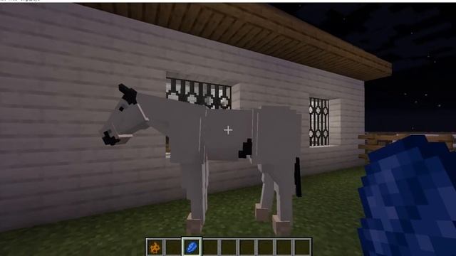 Playing Swem minecraft, finishing my stable смотреть онлайн