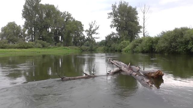 Спиннинг круглый год смотреть онлайн