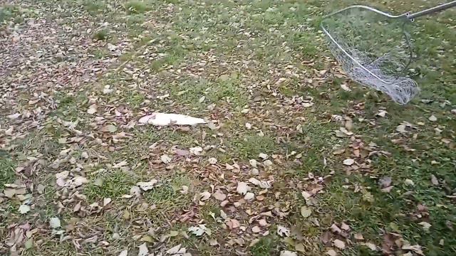 После запуска поимки были по всему водоему!!Рыболовный Клуб "МАРЛИН" смотреть онлайн