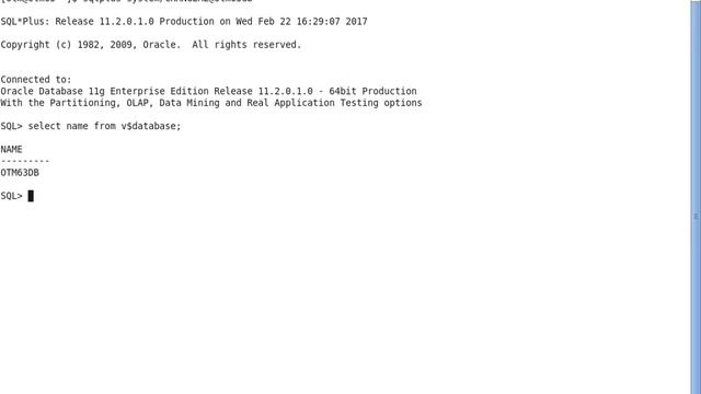 OTM 6.3.6 Installation Guide (Oracle Linux 6.3) - Part 13 - Test Database Connectivity (User - otm) смотреть онлайн
