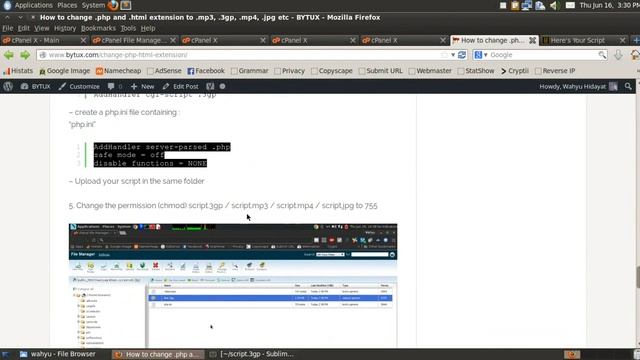 Convert php and html extensions to .jpg .3gp .mp4 .swf смотреть онлайн