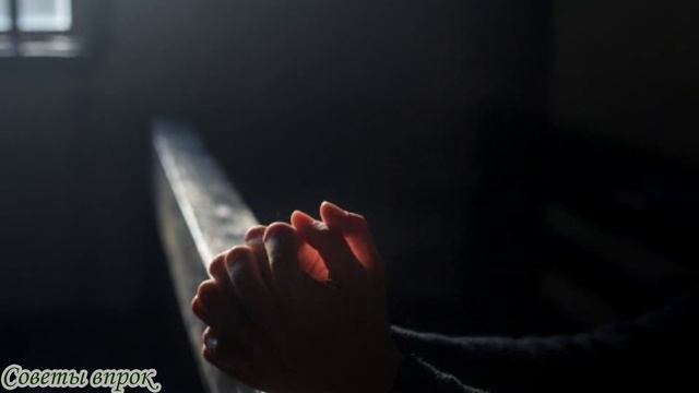 Учебник по Развитию Инноваций