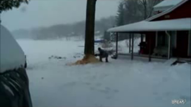 свалил деревцо.. смотреть онлайн