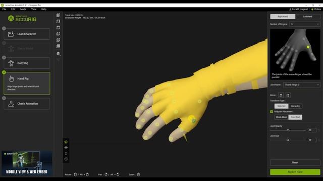 Quick And Easy Character Rigging / AccuRig / Cascadeur