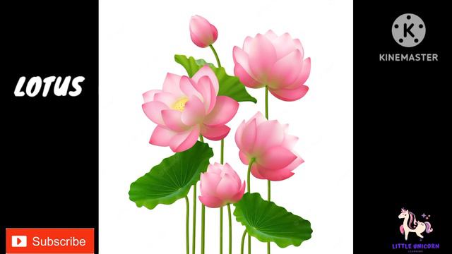 🌸Blooms & Blossoms Extravaganza!🌻 #preschool #education #youtubekids #toddlers #kidsvideo #funvideo смотреть онлайн