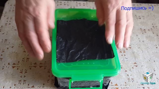 Dero furcata, где взять корм для рыб Аулофорус разведение, как вырастить самому аулофорус, смотреть онлайн