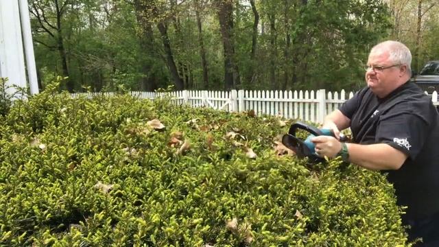 Makita XHU02 18v Battery powered hedge trimmers смотреть онлайн