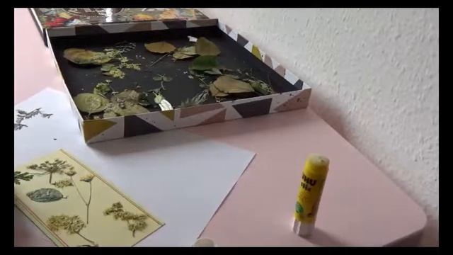 Гербарий мастерим закладки