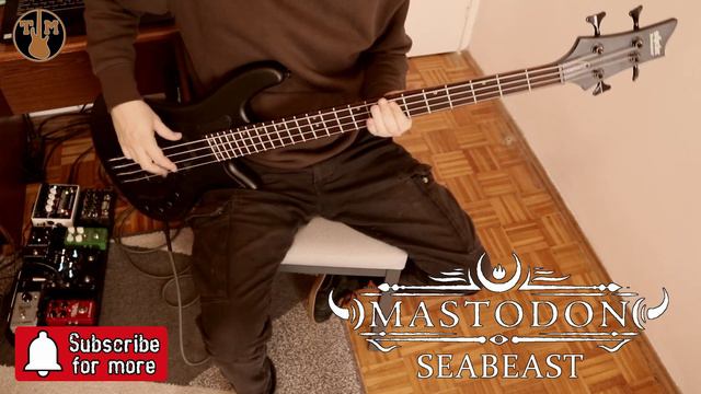 Mastodon - Seabeast [bass Cover] SCHECTER Stiletto Stealth-4