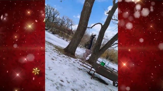 Рубрика «Зимняя сказка» Анна Куприянова - солистка циркового коллектива «Грани алмаза» смотреть онлайн