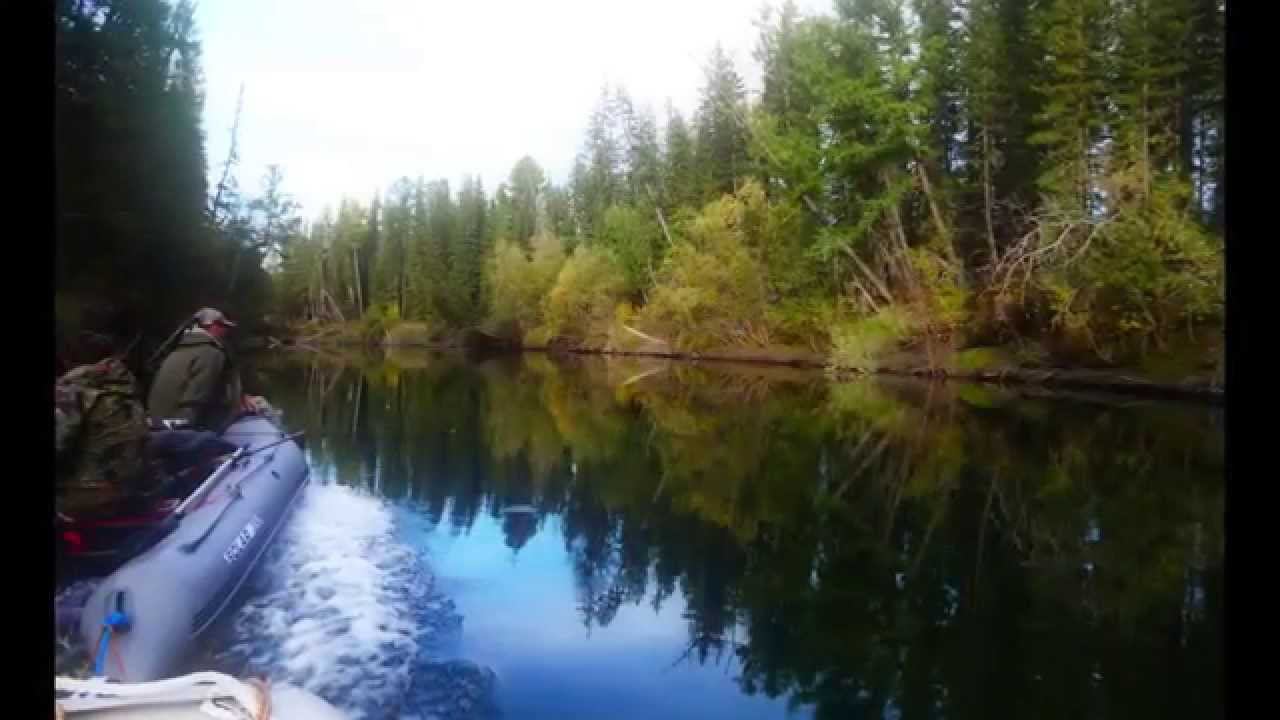 Отличный клев ХАРИУСА в ТУВЕ на реке Балыктыг-Хем смотреть онлайн