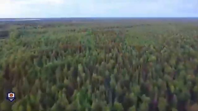 АВИАЦИЯ БОЛЬШАЯ СЕМЬЯ смотреть онлайн